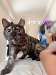 귀가했습니다•*¨*•.¸♬︎