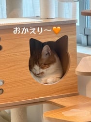 귀가했습니다•*¨*•.¸♬︎