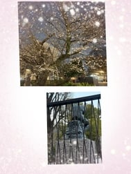감사합니다 ❤️