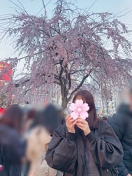 사쿠라♡