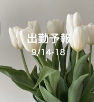 출근 예보 9/14-18