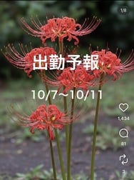 출근 예보 10/8-10/11