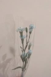 안녕하세요