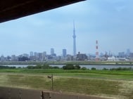 출근 예정