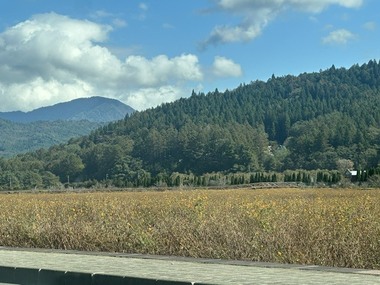 20261020_211725_934db86be71e4e0871d754d8b219be76.jpg