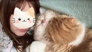 잘자요♡