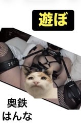 아소 호호