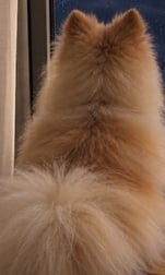 마메짱☆