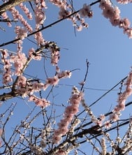 아까의...♡