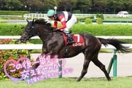 ◎●◎●◎● 신주쿠 대기♪ ●◎●◎●◎