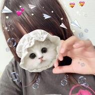 모두는?