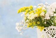 🌼