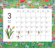 3월 후반🌷