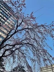 목요일🌸