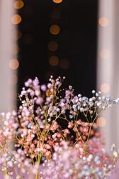 4월🌸