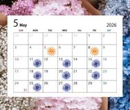 5월 출근 예정🗓️