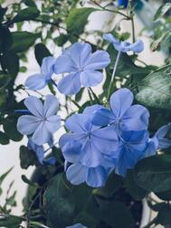 안녕하세요 💠