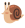 20260916_174924_26a97b70b585b3f165c5e5a0