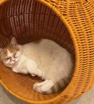 좋은 아침 ☀️