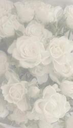 🌸