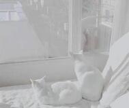기다렸습니다 ✨