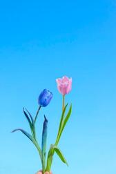 따뜻하다 ○