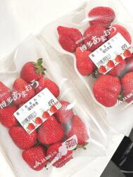 🍓🍓🍓