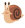 20260627_145322_c52f7dd9f89554fab7059d91