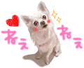 20260619_224429_6ab3ba72a5c0a7bcb657c4f0b830d2fb.gif