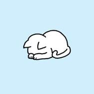 미안해요😭