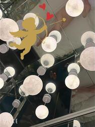 오늘부터 〇〇📢⋆✨️