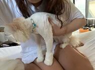 [제목]from:오늘의 원공씨
