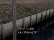 [사례메일기]