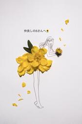 감사합니다💌