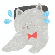 월요일 출근😿