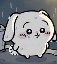 죄송합니다 💦