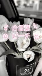 🌸합언기록🌸