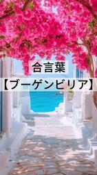 🌸합언기록🌸