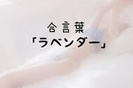 비밀 🫶