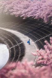 사이좋은 산 ☆