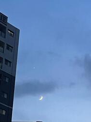 🌙