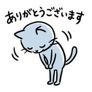 감사합니다 🍀* ゚