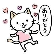 오늘 매진 ✨