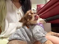 카와 🫣🐶❤️‍🔥❤️‍🔥❤️‍🔥