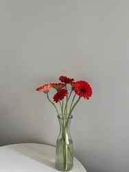 감사