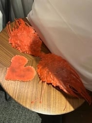 💌