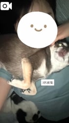 예약 감사합니다 🍒