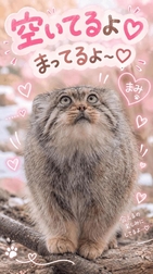 예약