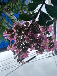 출근했습니다.
