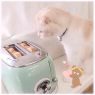 향하고 있습니다♪